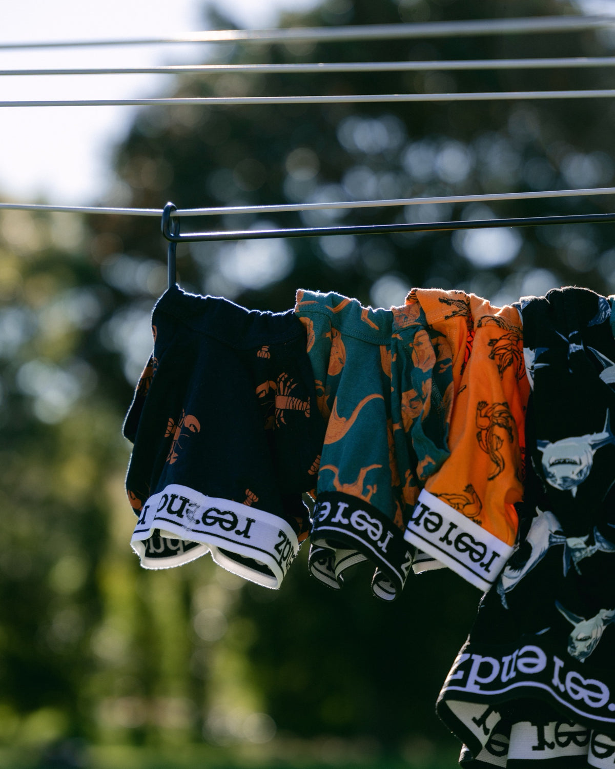 The Undie Hanger filled with undies on a rotary clothesline (undies by our friends at Reer Endz)